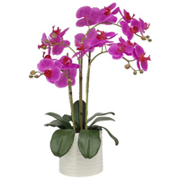 GENUX Artificial Orchid Ribbed Pot 67cm Pink
