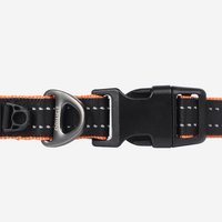 PAWFIT 3 Dog Collar Large (Tracker Not Included)