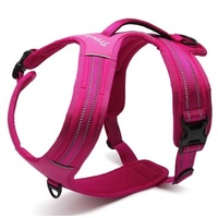 True Love Reflective Heavy Duty Harness Pink M