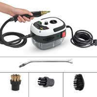 3200W Steam Cleaner High Temperature Kitchen Pressure Cleaning Machine