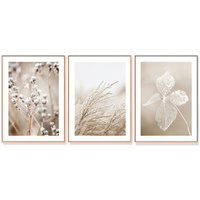 Artime 40x60cm Dried Flower Wood Frame Canvas Wall Art 3 Sets