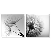 Artime Wall Art 40cmx40cm Black White Dandelion 2 Sets Black Frame