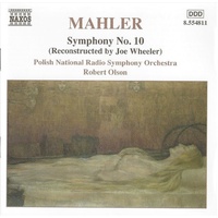 Mahler Symphony No. 10 - De Wit & Polish National RSO CD