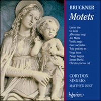 Music CD | Bruckner Motets Corydon Singers CD Album