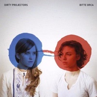 Dirty Projectors - Bitte Orca CD Album