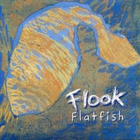 Flatfish - Flook CD Album