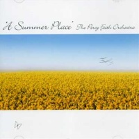 A Summer Place Percy Faith Orchestra Music CD Album