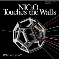 Who Are You - Nico Touches The Walls Music CD Album