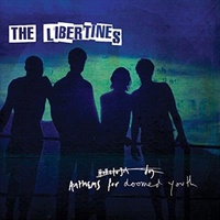 Anthems for Doomed Youth - The Libertines CD Album