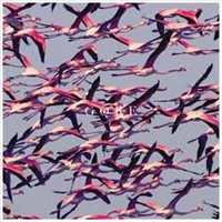 Gore - Deftones CD Album