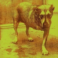 Alice In Chains - Self-Titled CD Album