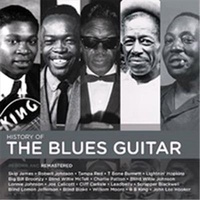 History of the Blues Guitar - Various CD