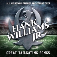 Hank Williams Jr - All My Rowdy Friends CD Album