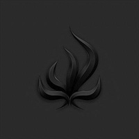 Bury Tomorrow - Black Flame CD Album