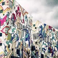 Why You So Crazy - Dandy Warhols Cd Album