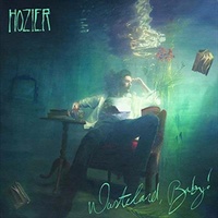 Wasteland Baby - Hozier CD Album