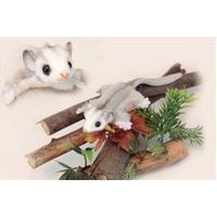 SNGAMES Feather Tail Glider 22cm Bird Cage Stand