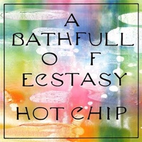 A Bath Full Of Ecstasy - Hot Chip Music CD Album