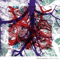 Widows Weeds - Silversun Pickups CD Album