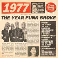 1977: Year Punk Broke - Various Artists CD Boxset