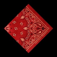 Red Bandana - Aaron Watson CD Album