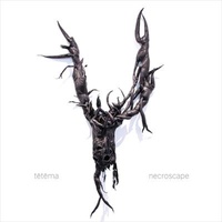 Tetema - Necroscape CD Album