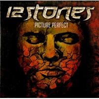 Picture Perfect 12 Stones CD Album