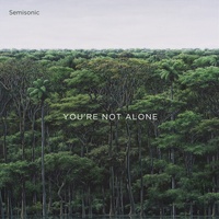 You're Not Alone - Semisonic CD Album