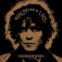 Thunderwing - Marc Bolan & T Rex CD Album