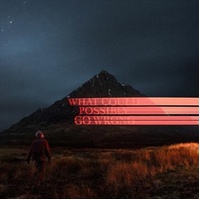 What Could Possibly Go Wrong - Dominic Fike CD Album
