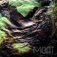Moat - Poison Stream Music CD Album