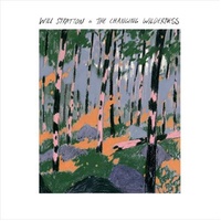 Changing Wilderness - Will Stratton CD Album