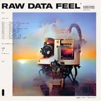 Raw Data Feel - Everything Everything Music CD Album