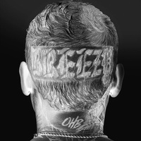 Breezy - Chris Brown Music CD Album