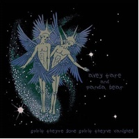 Spirit They're Gone - Animal Collective CD Album | Music CD
