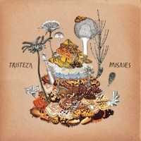 Music CD - Paisajes Tristeza Album