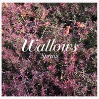 Music CD - Spring Wallows Album