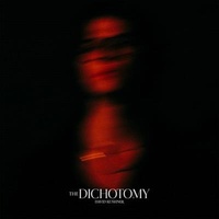 David Kushner - Dichotomy Music CD Album