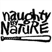 Greatest Hits - Naughty By Nature CD