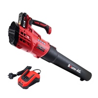 Baumr-AG 20V Lithium Cordless Leaf Blower Electric