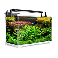 Aquarium Starfire Glass Fish Tank Set Filter Pump 39L