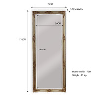 French Provincial Ornate Mirror - Champagne - Medium 70cm x 170cm