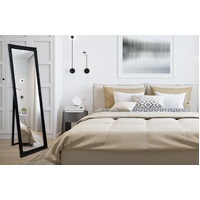 French Provincial Ornate Mirror - Black - Free Standing 50cm x 170cm