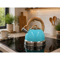2.9L Whistling Kettle Stainless Steel Foldable Handle Camping Home Office Blue