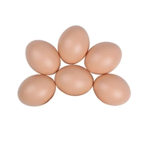 Plastic Painting Eggs DIY Toy Fake Eggs Colourful Drawing Craft Durable Egg - 6PCS