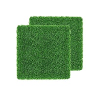 Washable Chicken Nesting Pad Egg Nest Grass Mat forLaying Boxes Hen House - 2PCS