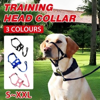 Black Dog Training Head Collar Halter Stop Pulling Training Tool Harness Strap Leader - L