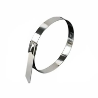 20X Stainless Steel Cable Ties S304 Marine Grade Zip Strap Locking Wrap 100-800Mm - 4.6x700mm