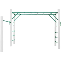 Lifespan Kids Amazon Monkey Bars Only (2.5m)