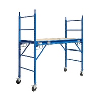 Mobile Safety High Scaffold / Ladder Tool -450KG
